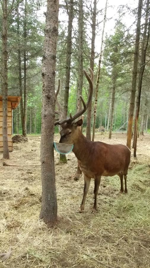 Hebergement Cerfs-Tifie Fermette Сен-Феликс-д'Оти Экстерьер фото