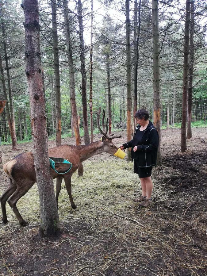 Hebergement Cerfs-Tifie Fermette Сен-Феликс-д'Оти Экстерьер фото